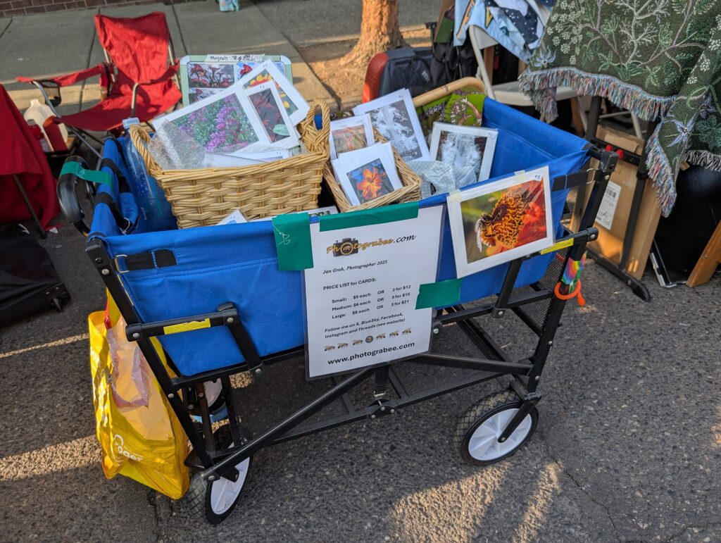 Photo showing a blue folding cart on wheels with an array of very colorful cellophane wrapped photo notecards in and around some whicker baskets. A sign in front lists prices, and a colorful golden honeybee image catches the eye.