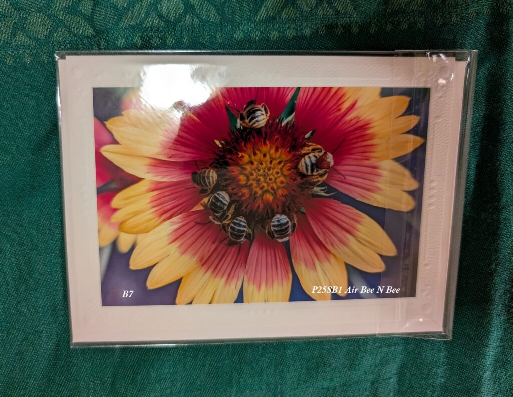 Photo of a notecard made with a photo of six longhorn bees sleeping neatly and sweetly away around the center of a red and yellow Gaillardia flower.