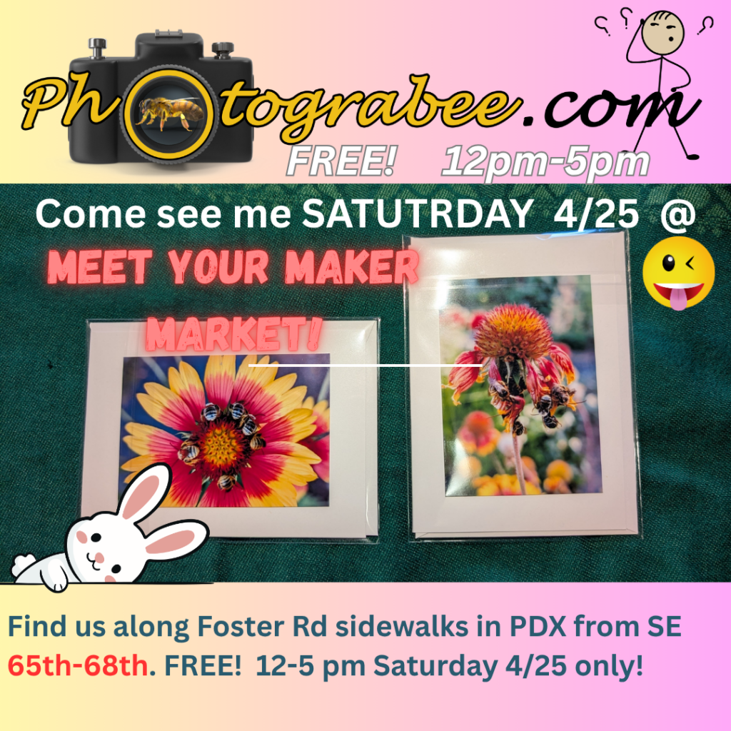Colorful promo graphic with a graident background from yellow to pink (left to right). Photograbee.com logo up top. A person scratching their head  as if wondering what's going on. Text: FREE 12-5pm Come see me SATURDAY 4/25 @ MEET YOUR MAKER MARKERT. Find us along Foster Rd sidewalks in PDX from SE 65th-68th. FREE! 12-5pm Saturday 4/25 only! There is a goofy face emoji on the upper right of a photo showing 2 colorful photo notecards with bees on red and yellow flowers on a dark green background. A bunny image looks like it's peeking out from the bottom edge.