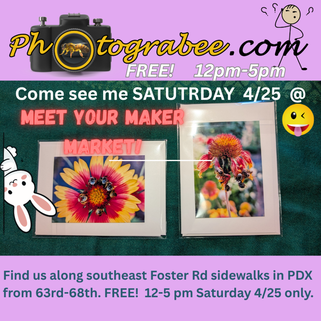 Colorful promo showing a couple of colorful photo notecards featuring bees in a circle and hanging from a bedraggled red and yellow flower on a dark green background. This is set on a lavender background. The Photograbee logo is at top. A character figure with ??? around its head. A goofy smiley face. A rabbit upside down peeks in from the left edge. Text overlaid in various colors reads: FREE! 12-5 pm. Come see me SATURDAY 4/25 @ MEET YOUR MAKER MARKET. Find us along southeast Foster Rd Sidewalks in PDX from 63rd-68th. FREE! 12-5pm Saturday 4/25 only.