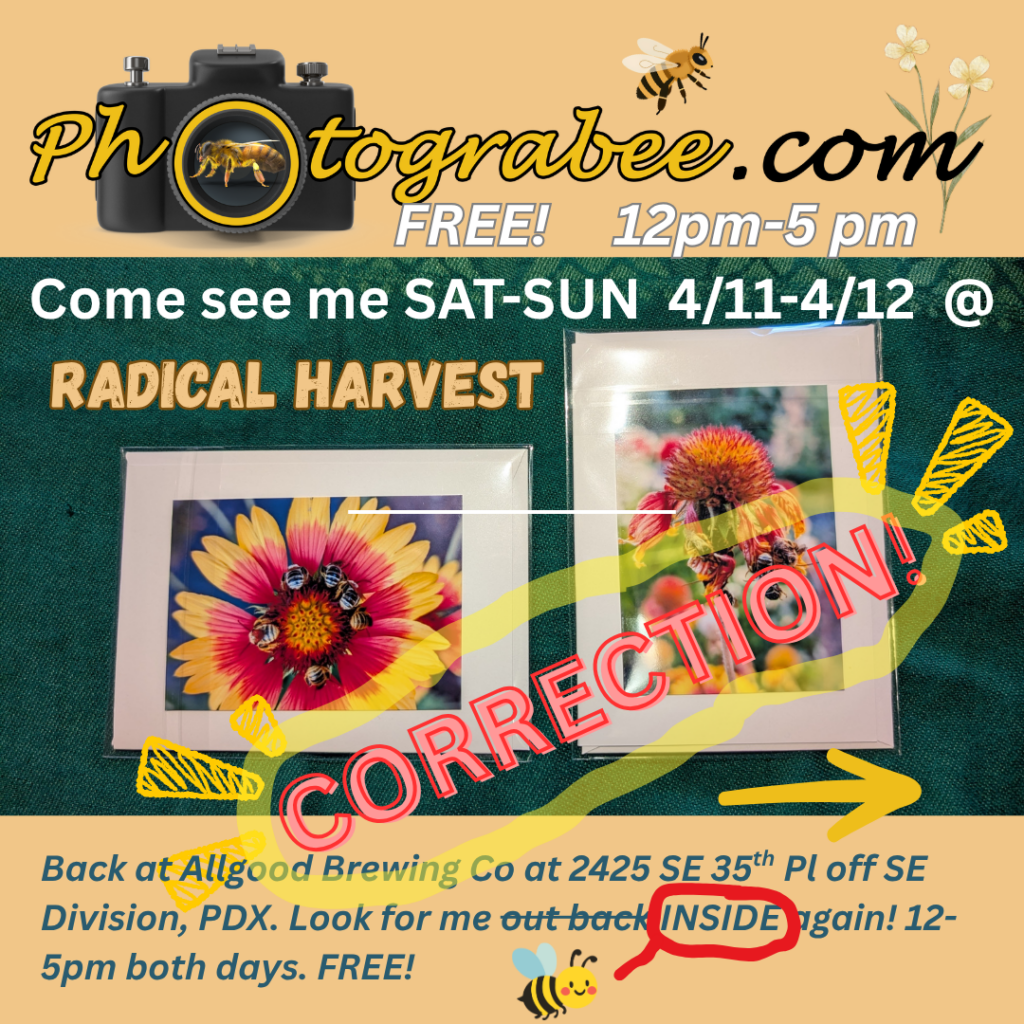 Color promo graphic with emerald green over beige background. Photograbee.com logo at top. Market info inside. Large "CORRECTION" label over that in red. The word "INSIDE" is circled at the bottom to indicate Jan will not be outside as first thought, but inside again as before at Allgood Brewing 2425 SE 35th Pl Portland, OR. Sat/Sun 4/11-12 from 12-5 pm both days. Free.