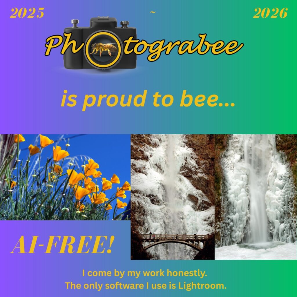 A colorful square graphic using a purple to green gradient background from left to right. All text is in goldenrod. 2025 upper left. 2026 upper right. Photograbee logo center top. Text: "is proud to bee..." above several colorful images including California poppies against a vivid blue sky next to two shots of upper and lower Multnomah Falls frozen. Then text: "AI-FREE!" bottom left. Bottom center: "I come by my work honestly. The only software I use is Lightroom."