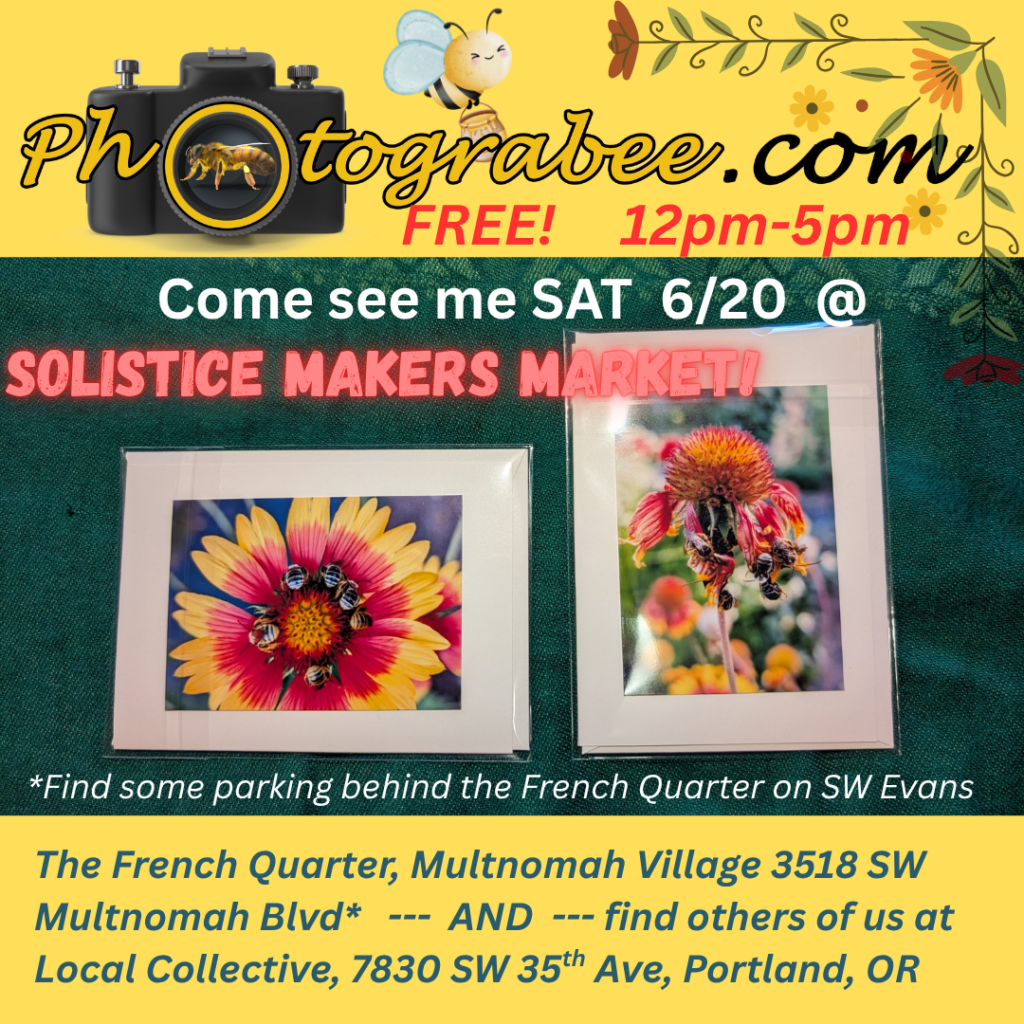 Colorful promo graphic with green middle on yellow about the Solstice Market June 20th from 12-5 pm at the Multnomah French Quarter 3518 SW Multnomah Blvd in Portland featuring Photograbee.