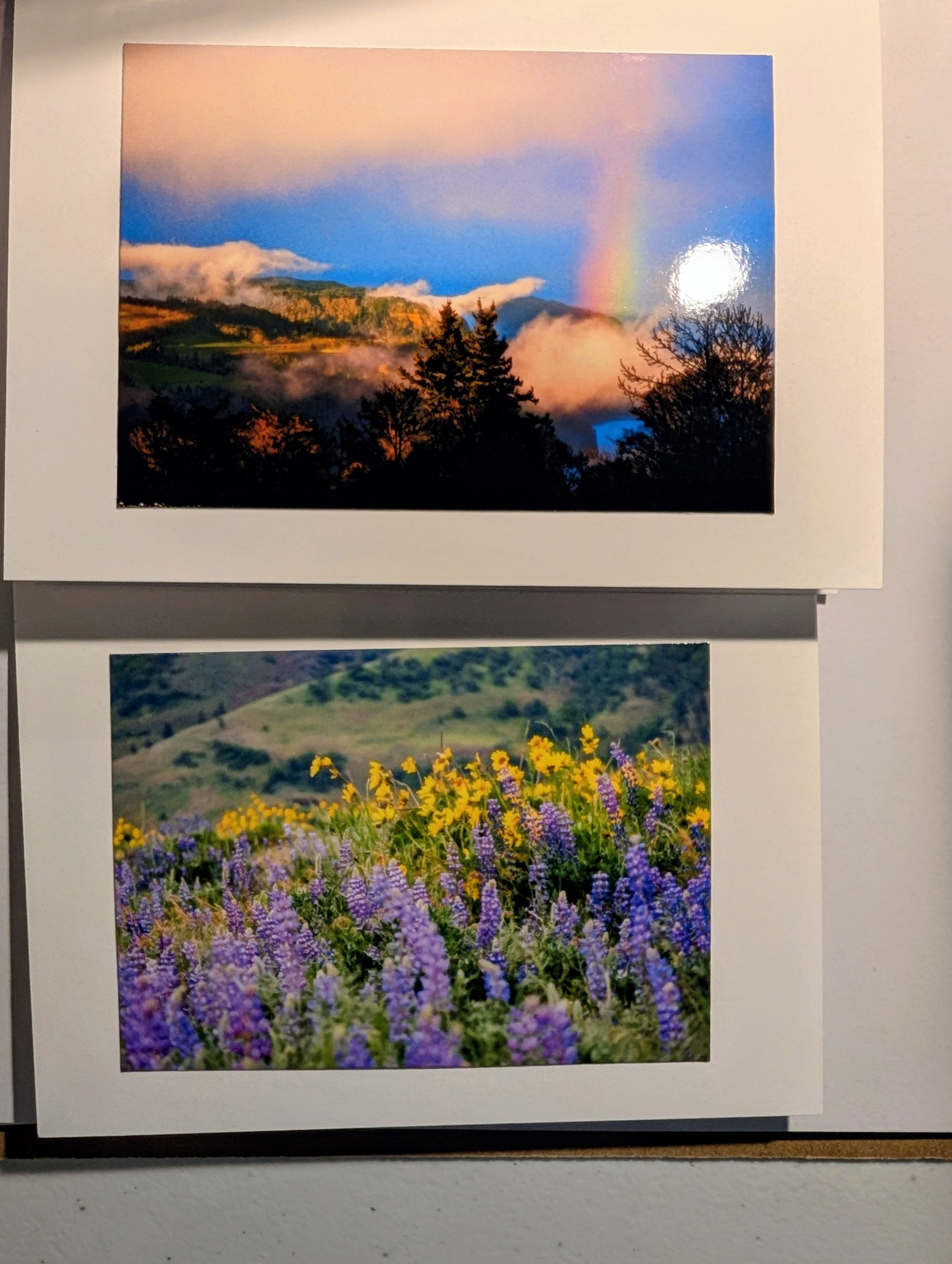 Two more images June 2026