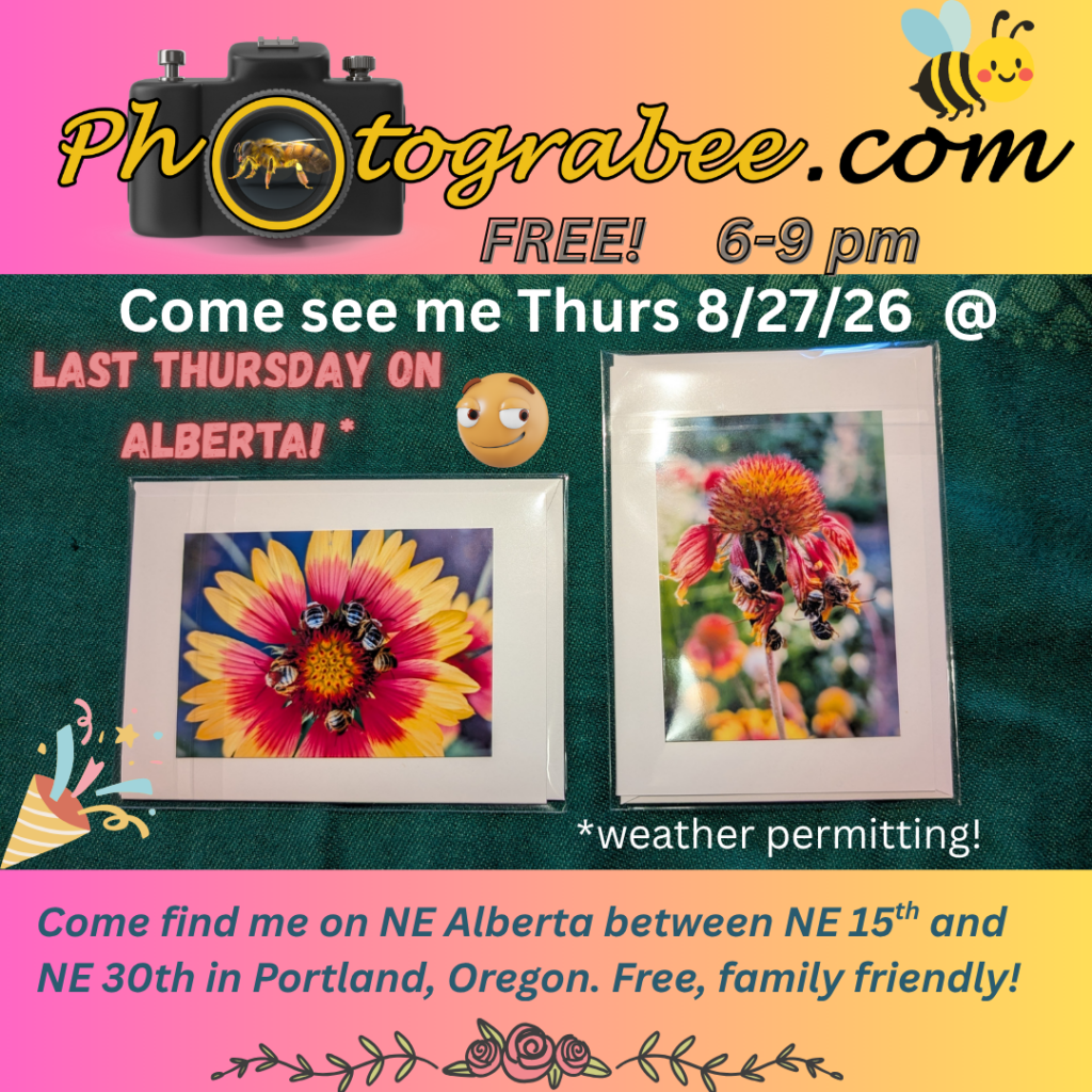 Colorful promo graphic for Last Thursday on NE Alberta Street 6-9 pm Thursday 8/27/26 in Portland Oregon. NE 15th-NE 30th. Come see me.