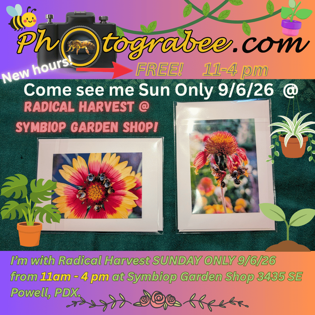 New colorful promo for Rad Harvest market on Sunday 9/6/26 with NEW HOURS from 11-4 (was 12-5). At Symbiop Garden Shop SE 34th & Powell Blvd in Portland, Oregon. For Photograbee.com. Free. (I'm only there on Sunday, but it's running on Saturday too, same hours.)