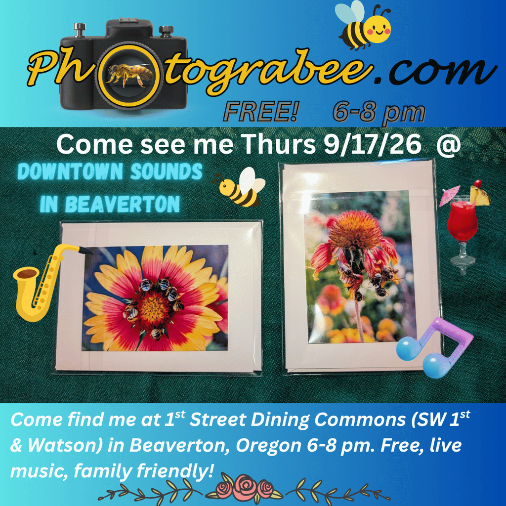 Colorful promo graphic for Photograbee.com appearing at Downtown Sounds in Beaverton 9/17/26 from 6-8pm. 1st street Dining Commons (SW 1st & Watson), Beaverton, OR. (Weather permitting.) Live music, food.