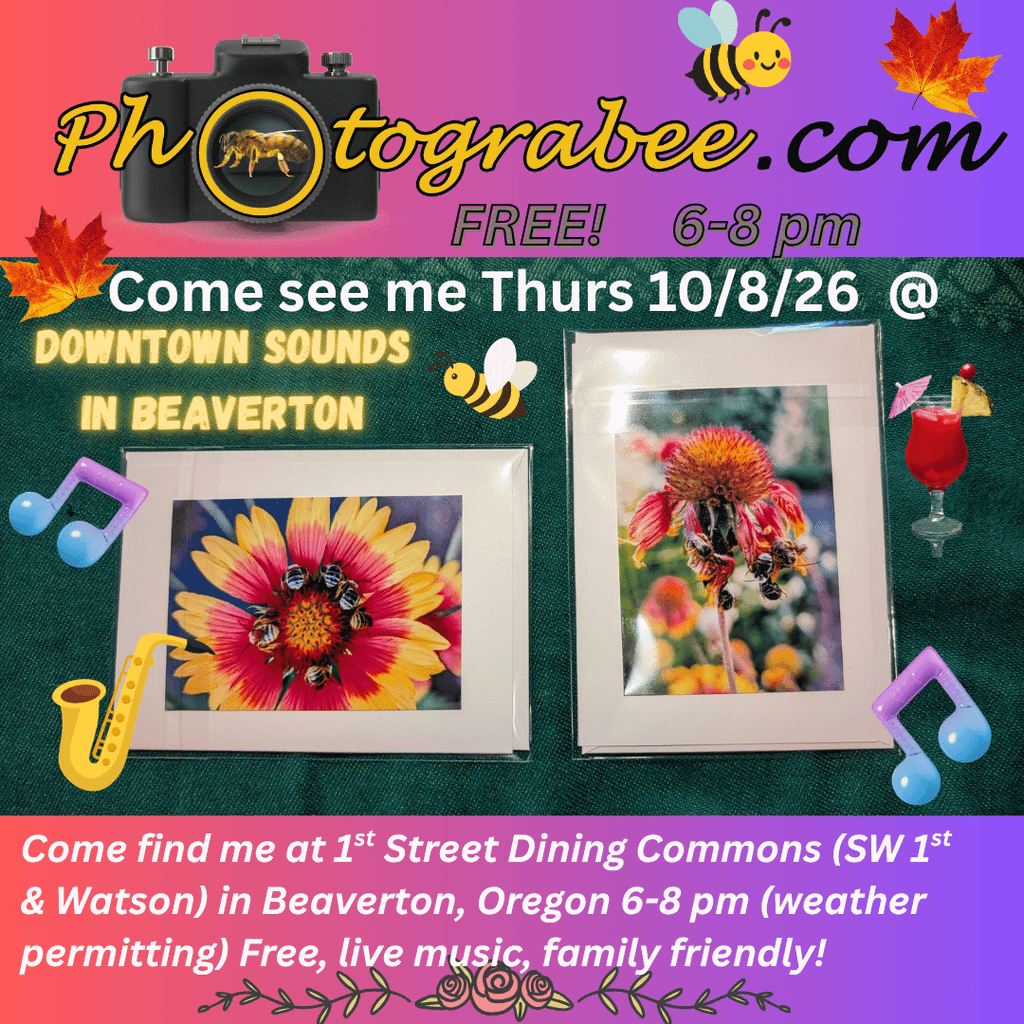 Colorful promo graphic for Photograbee at Downtown Sounds 10/8 in Beaverton. SW 1st and Watson 6-8 PM weather permitting.