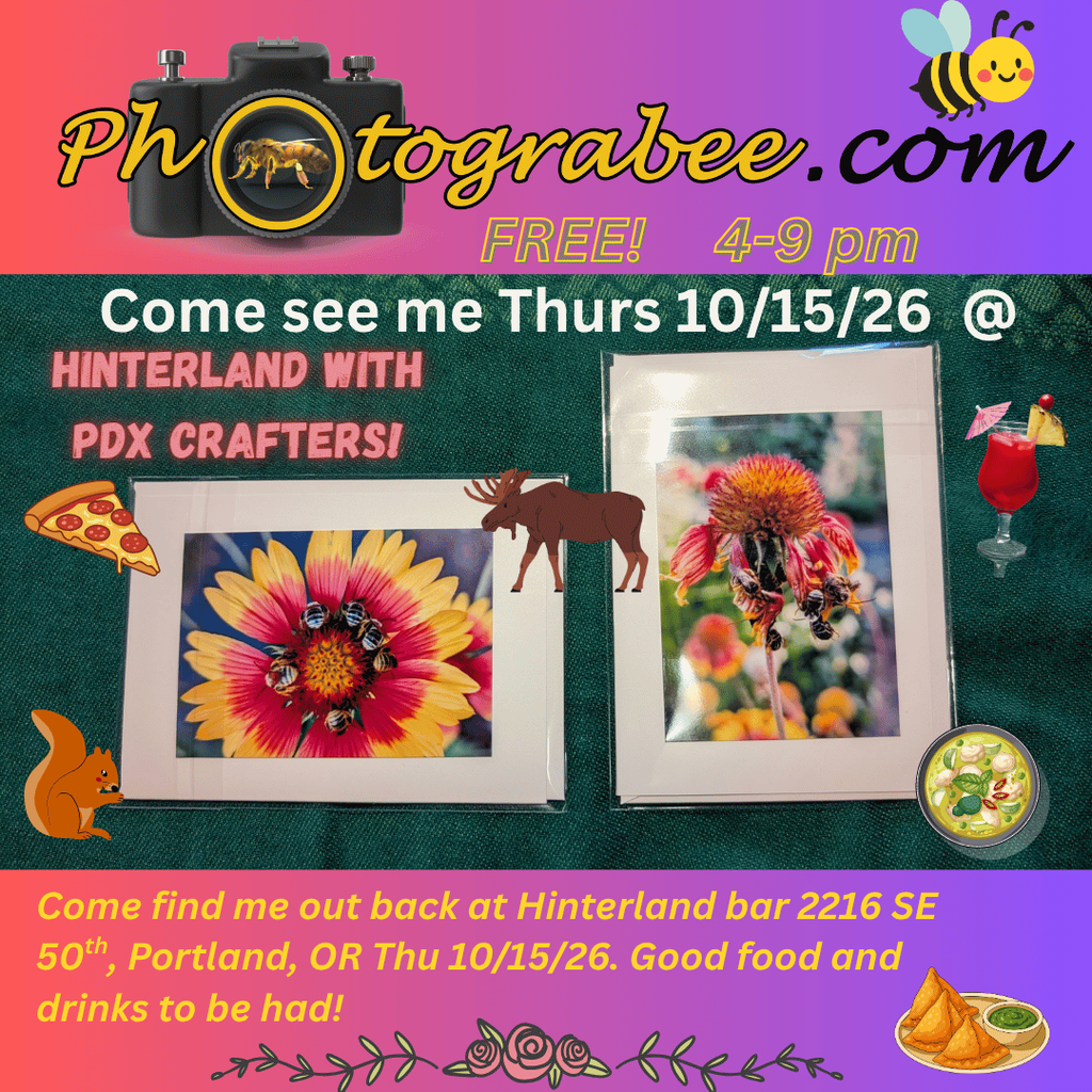 Colorful promo graphics for Photograbee.com appearing at Hinterland Bar, 2216 SE 50th Thursday 10/15/26 from 4-9 pm. Out back. Good food and drinks to be had.
