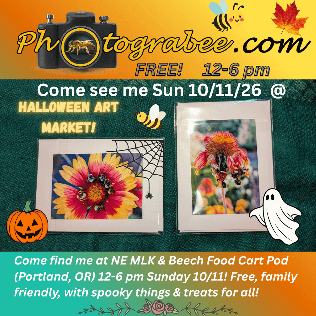 Colorful promo graphic for Photograbee.com. Come see me Sun 10/11/26 @ Halloween Art Market. NE MLK & Beech in Portland, OR. Free. Family friendly. Food and treats.
