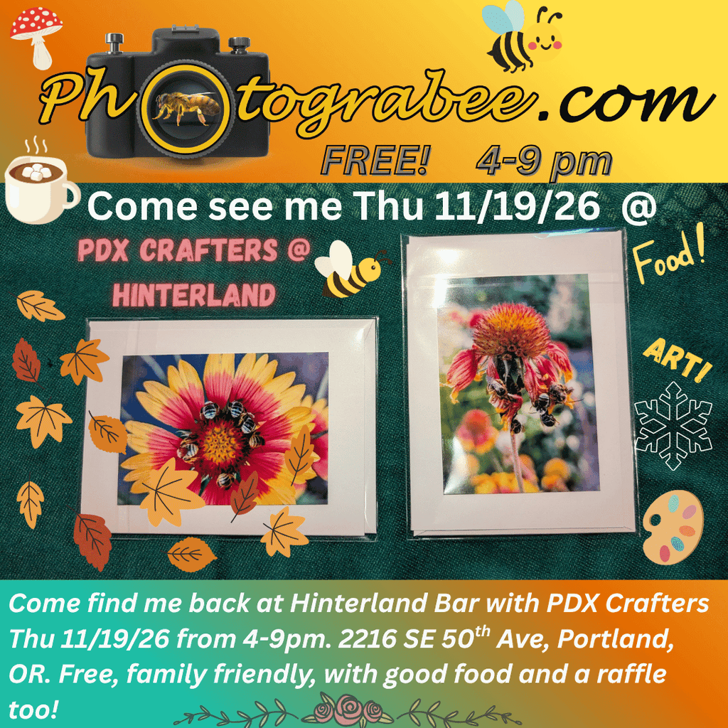 Colorful promo graphic for Photograbee.com. Come see me Thu 11/19/26 from 4-9 pm back at Hinterland with PDX Crafters. 2216 SE 50th Portland, OR. Free, family friendly.