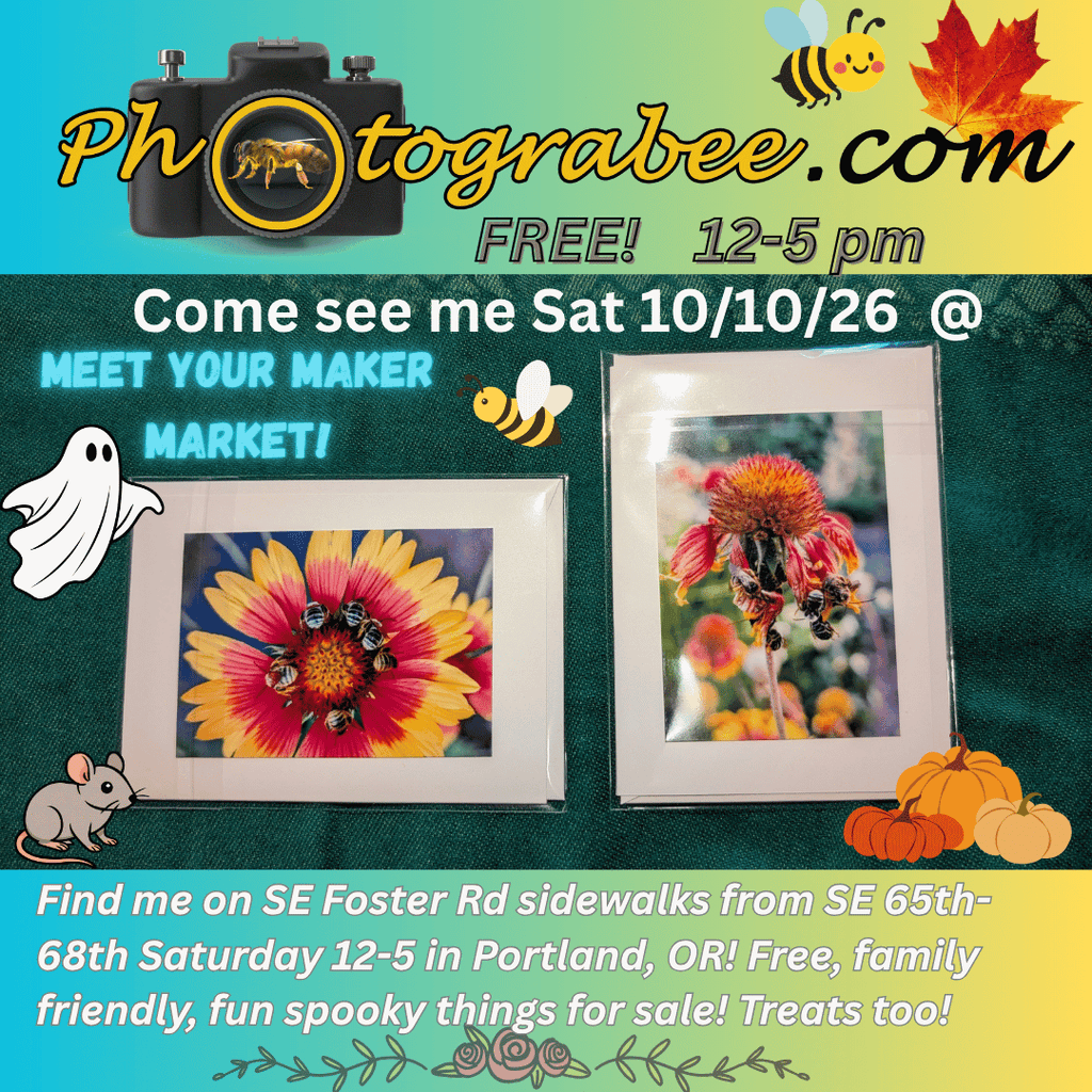 Colorful promo graphic for Photograbee at Meet Your Maker Market Sat 10/10/26 from 12-5 pm on the sidewalks of SE Foster Rd from 65th-68th. Free, family friendly.