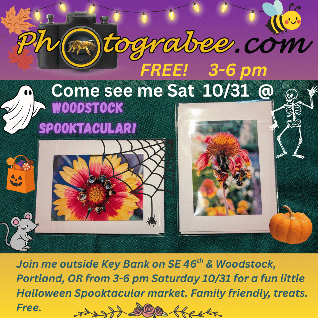 Colorful promo graphic for Photograbee.com. Woodstock Spooktacular Market 3-6 pm Sat Oct 31, 2026. Free, family friendly, outside KeyBank on SE 46th & Woodstock in Portland, OR.